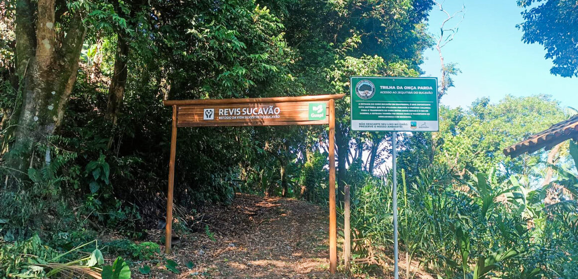 Natureza protegida: duas novas unidades de conservação em Guapimirim
