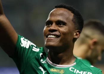 Palmeiras vence o Botafogo e assume liderança do Brasileirão