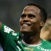 Palmeiras vence o Botafogo e assume liderança do Brasileirão