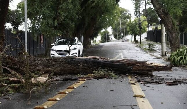 Ventania de mais de 100 km/h causa mortes, apagões e estragos no Rio de Janeiro