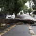 Ventania de mais de 100 km/h causa mortes, apagões e estragos no Rio de Janeiro